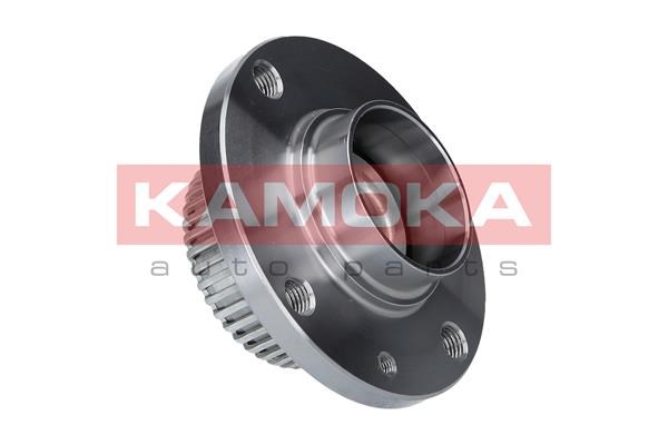 Wheel Bearing Kit KAMOKA 5500025 4