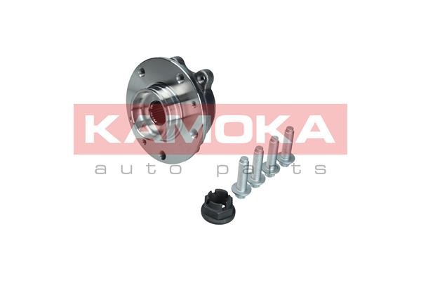 Wheel Bearing Kit KAMOKA 5500324