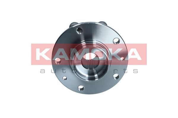 Wheel Bearing Kit KAMOKA 5500324 5