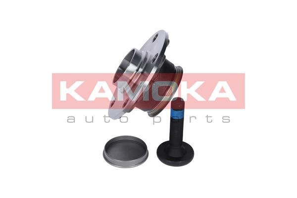Wheel Bearing Kit KAMOKA 5500119 2