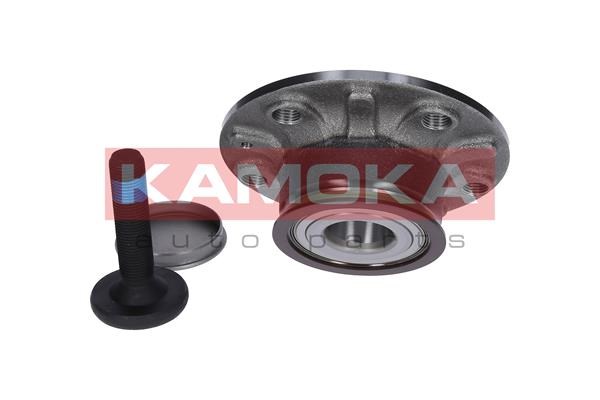 Wheel Bearing Kit KAMOKA 5500119 3