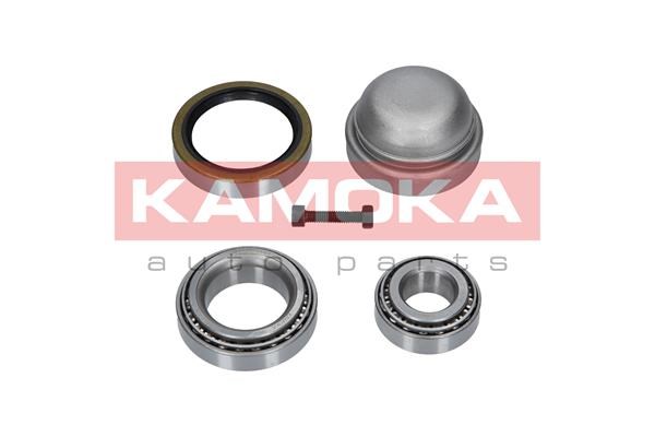 Wheel Bearing Kit KAMOKA 5600009 3