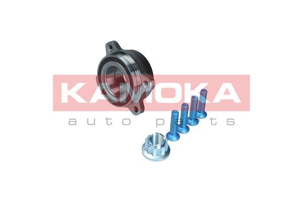 Wheel Bearing Kit KAMOKA 5500383