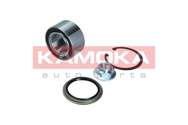 Wheel Bearing Kit KAMOKA 5600174
