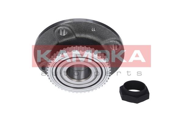 Wheel Bearing Kit KAMOKA 5500043 3