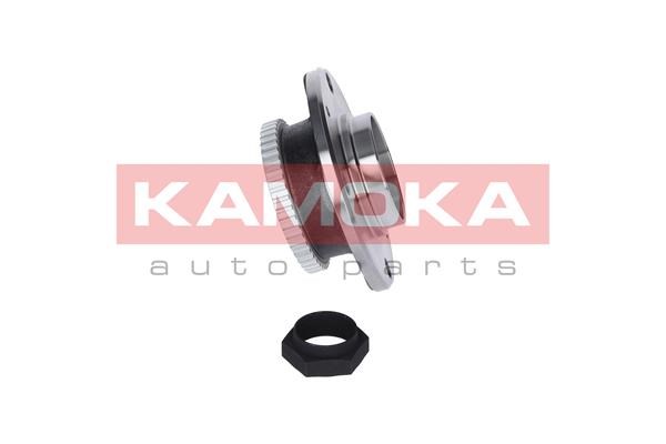 Wheel Bearing Kit KAMOKA 5500043 4