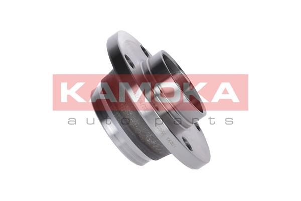 Wheel Bearing Kit KAMOKA 5500029 4