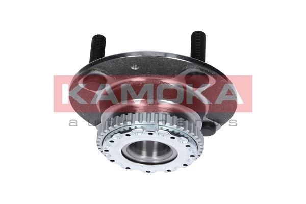 Wheel Bearing Kit KAMOKA 5500041 3