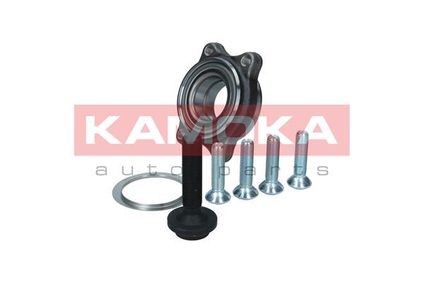 Wheel Bearing Kit KAMOKA 5500176 2