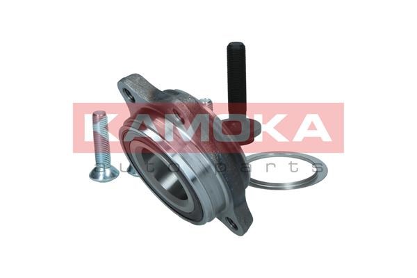 Wheel Bearing Kit KAMOKA 5500176 4