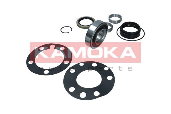 Wheel Bearing Kit KAMOKA 5600224 4