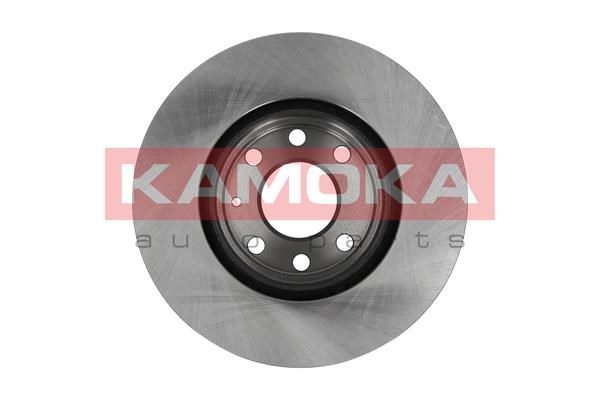 Brake Disc KAMOKA 1032194 2
