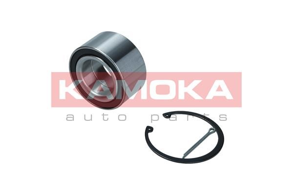 Wheel Bearing Kit KAMOKA 5600167