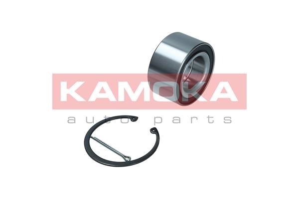 Wheel Bearing Kit KAMOKA 5600167 2