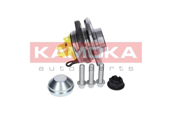 Wheel Bearing Kit KAMOKA 5500149 4