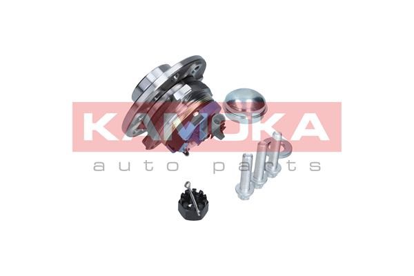 Wheel Bearing Kit KAMOKA 5500059 2