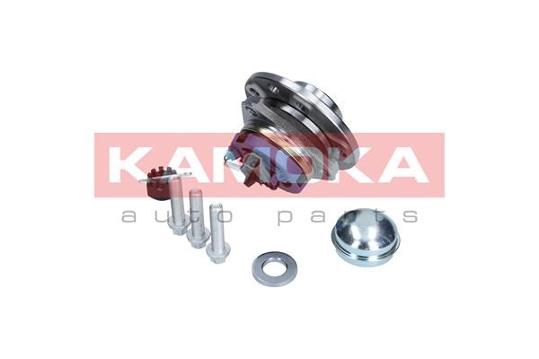 Wheel Bearing Kit KAMOKA 5500059 3