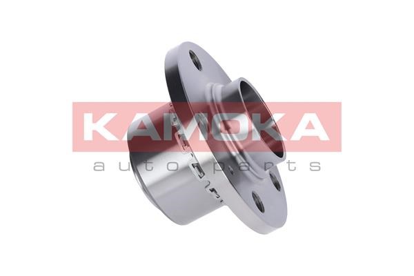 Wheel Bearing Kit KAMOKA 5500064 4