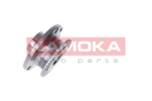 Wheel Bearing Kit KAMOKA 5500044 2