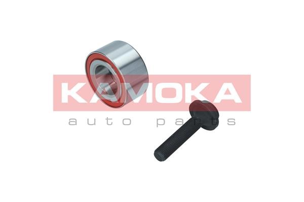 Wheel Bearing Kit KAMOKA 5600107