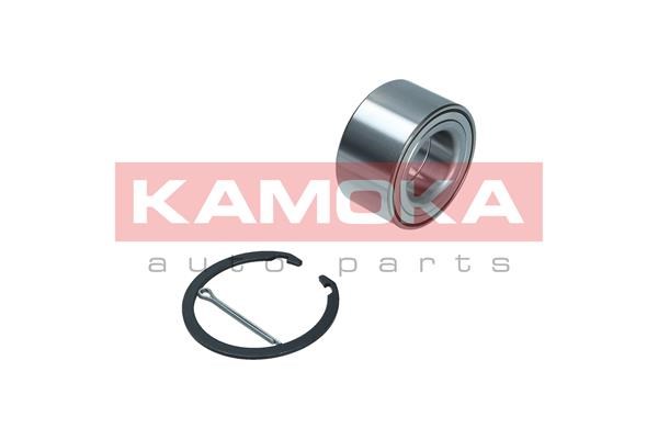 Wheel Bearing Kit KAMOKA 5600159 2