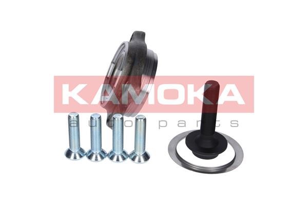 Wheel Bearing Kit KAMOKA 5500130 2
