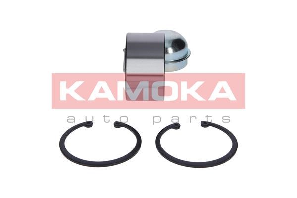 Wheel Bearing Kit KAMOKA 5600047 2