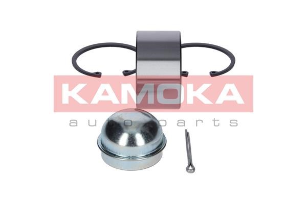 Wheel Bearing Kit KAMOKA 5600047 4