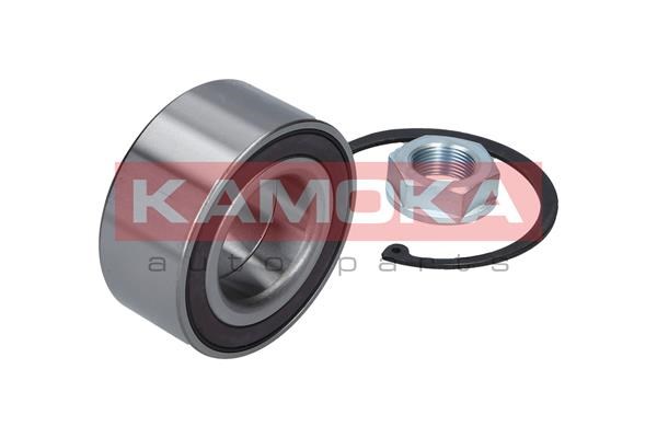 Wheel Bearing Kit KAMOKA 5600087 2