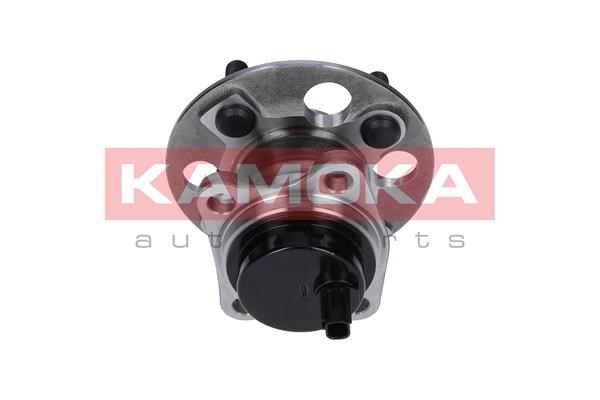 Wheel Bearing Kit KAMOKA 5500089 3