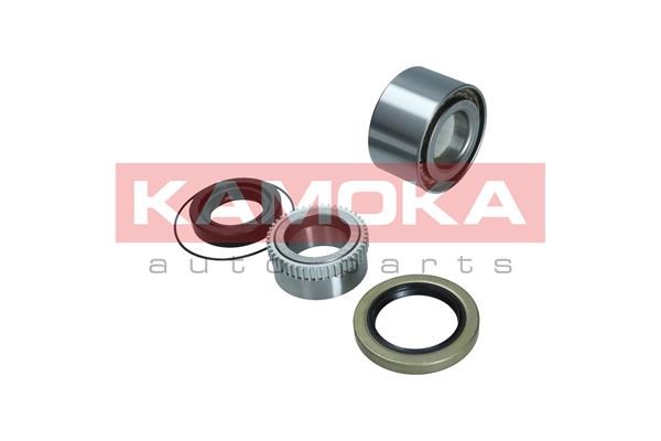 Wheel Bearing Kit KAMOKA 5600193 2
