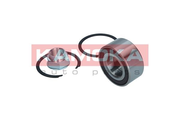 Wheel Bearing Kit KAMOKA 5600199 3
