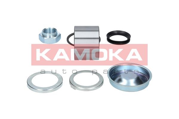 Wheel Bearing Kit KAMOKA 5600069 2