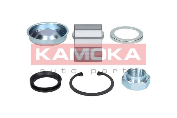 Wheel Bearing Kit KAMOKA 5600069 4