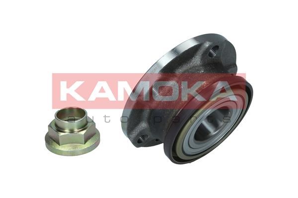 Wheel Bearing Kit KAMOKA 5500155 3
