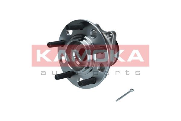 Wheel Bearing Kit KAMOKA 5500209