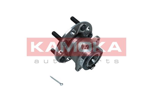 Wheel Bearing Kit KAMOKA 5500209 2