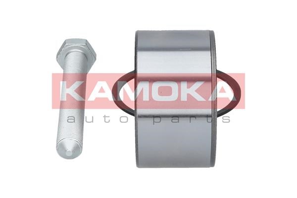 Wheel Bearing Kit KAMOKA 5600093 4