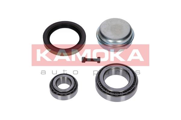Wheel Bearing Kit KAMOKA 5600061