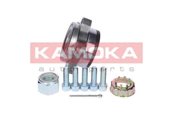 Wheel Bearing Kit KAMOKA 5500129 2