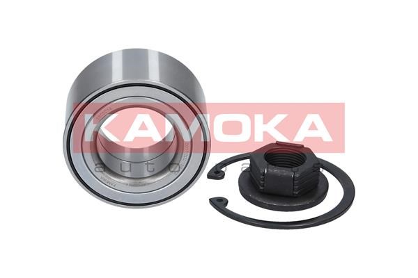 Wheel Bearing Kit KAMOKA 5600014