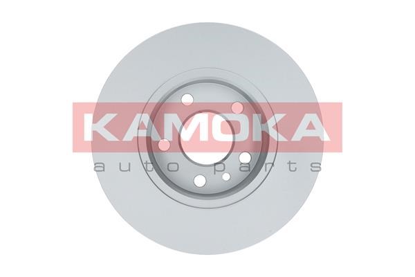 Brake Disc KAMOKA 103134 2