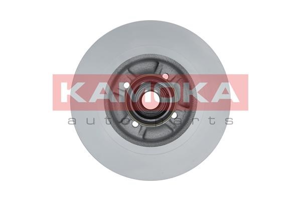 Brake Disc KAMOKA 1031025 2