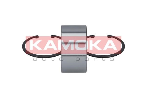 Wheel Bearing Kit KAMOKA 5600023 4