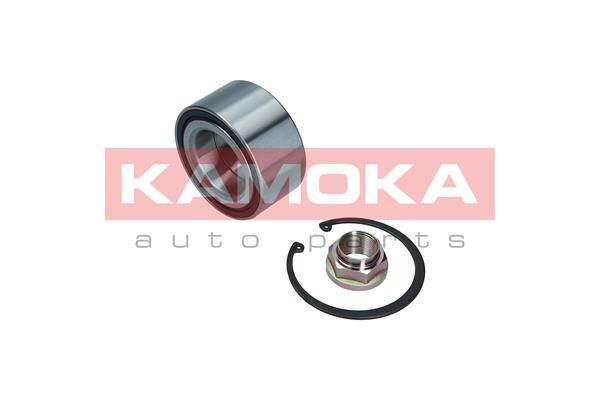 Wheel Bearing Kit KAMOKA 5600157