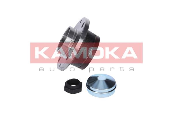 Wheel Bearing Kit KAMOKA 5500031 2