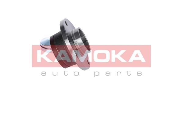 Wheel Bearing Kit KAMOKA 5500031 4