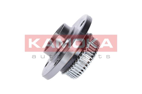 Wheel Bearing Kit KAMOKA 5500034 2