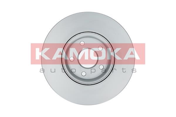 Brake Disc KAMOKA 1031016 2