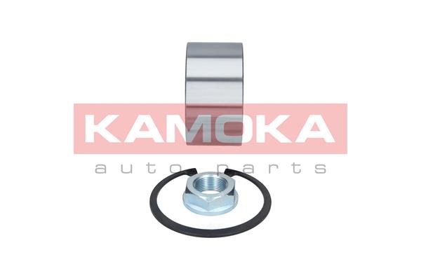 Wheel Bearing Kit KAMOKA 5600089 2